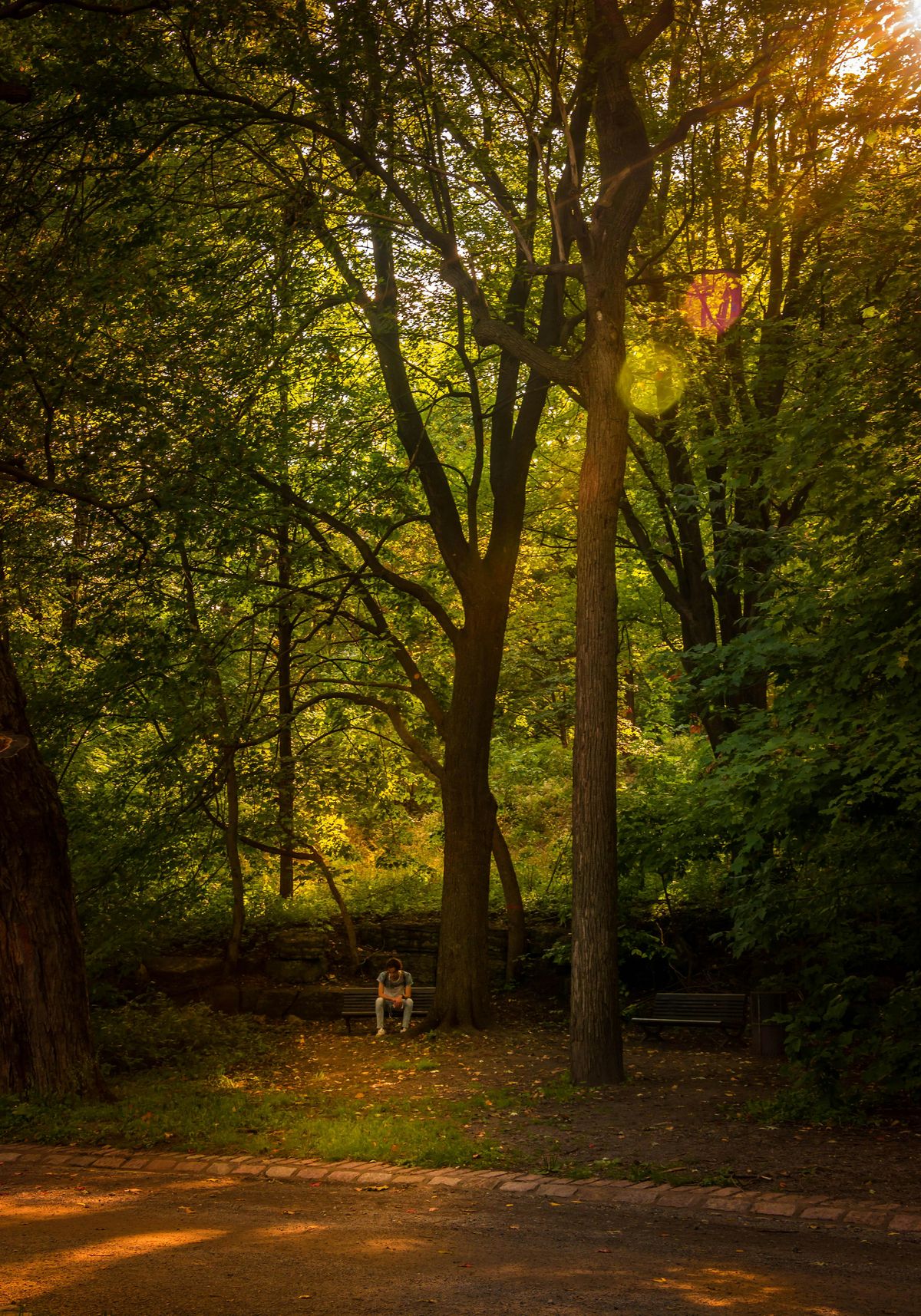 La pr\u00e9sence autochtone au mont Royal: ce que nous r\u00e9v\u00e8le l'arch\u00e9ologie