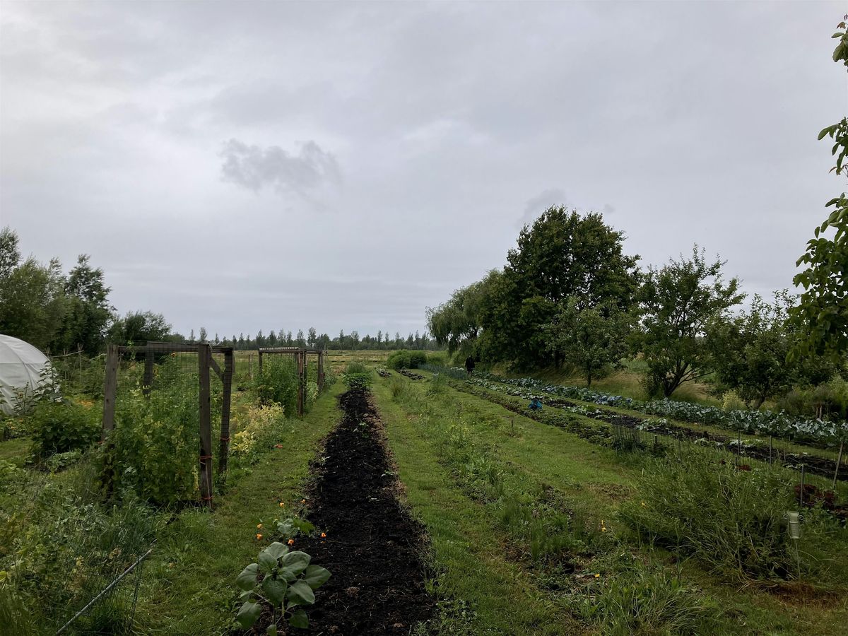 Food as Commons in the Planetary Netherlands