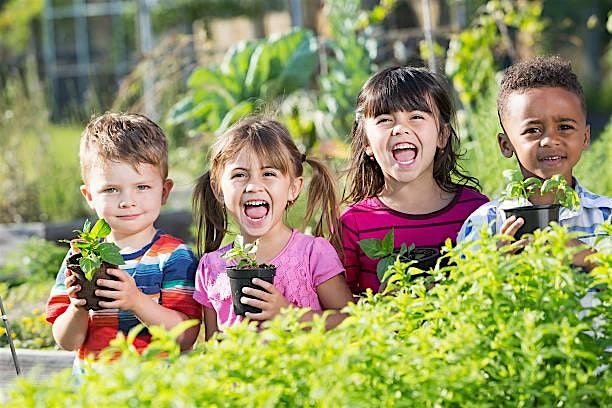 Little Gardeners