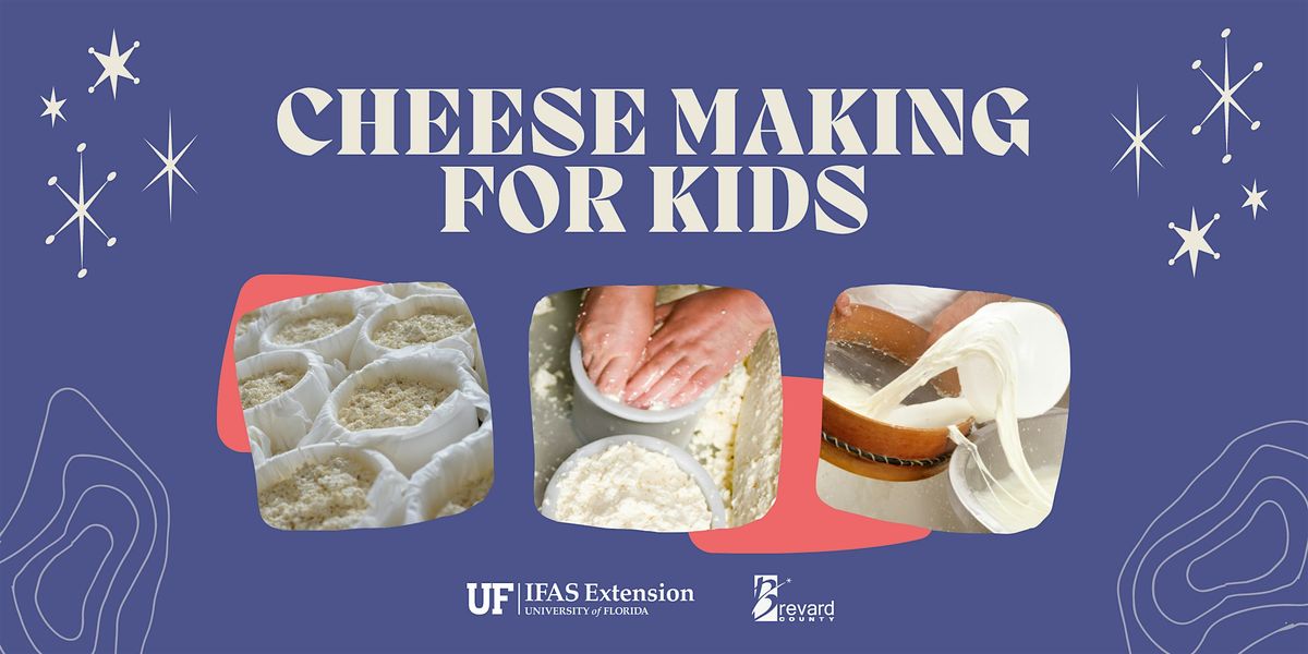 Cheese Making for Kids