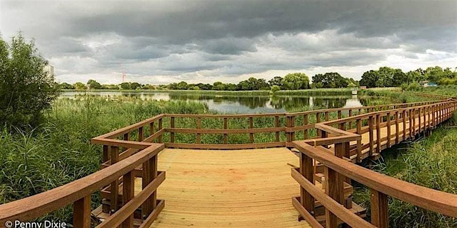 History & Ecology of Woodberry Wetlands - Guided Walk