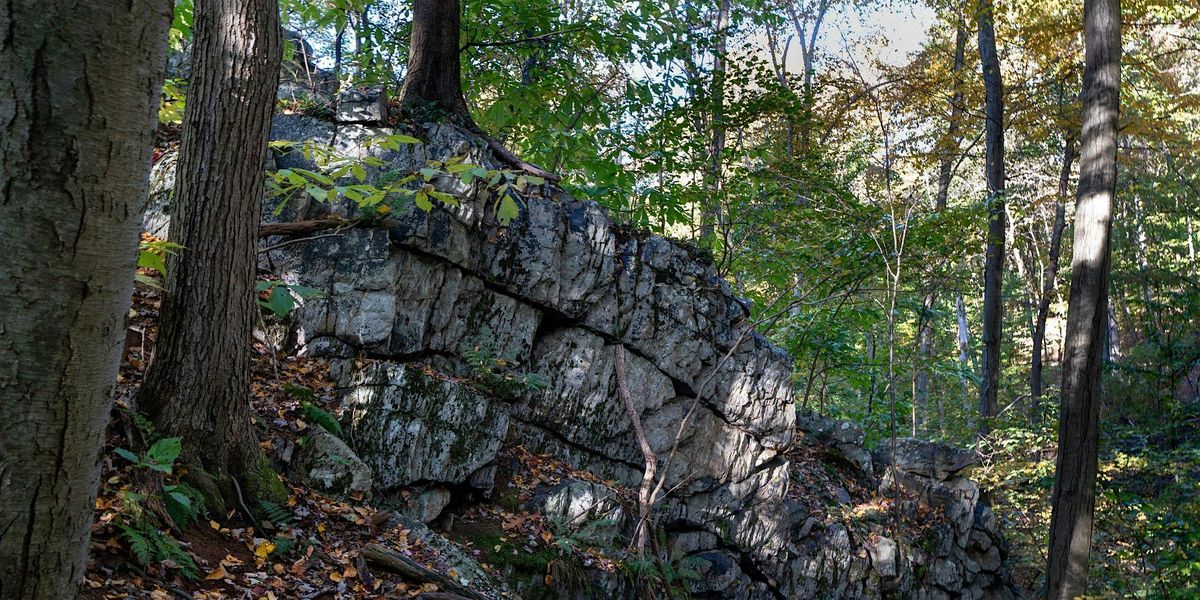 Buzzards Roost & Wildcat Point Guided Hike