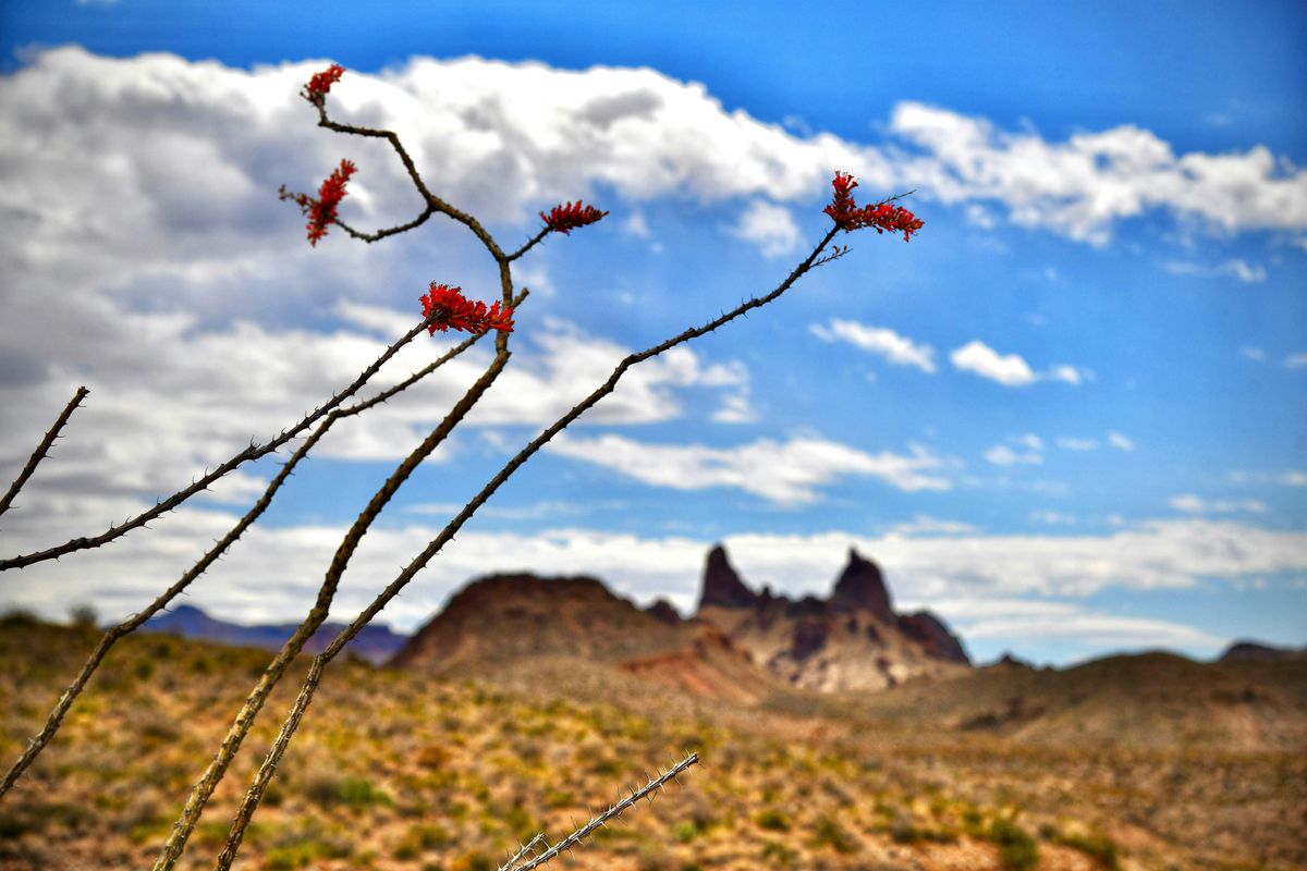 West Texas: Terlingua & Big Bend. Destinations by Fort Worth Camera