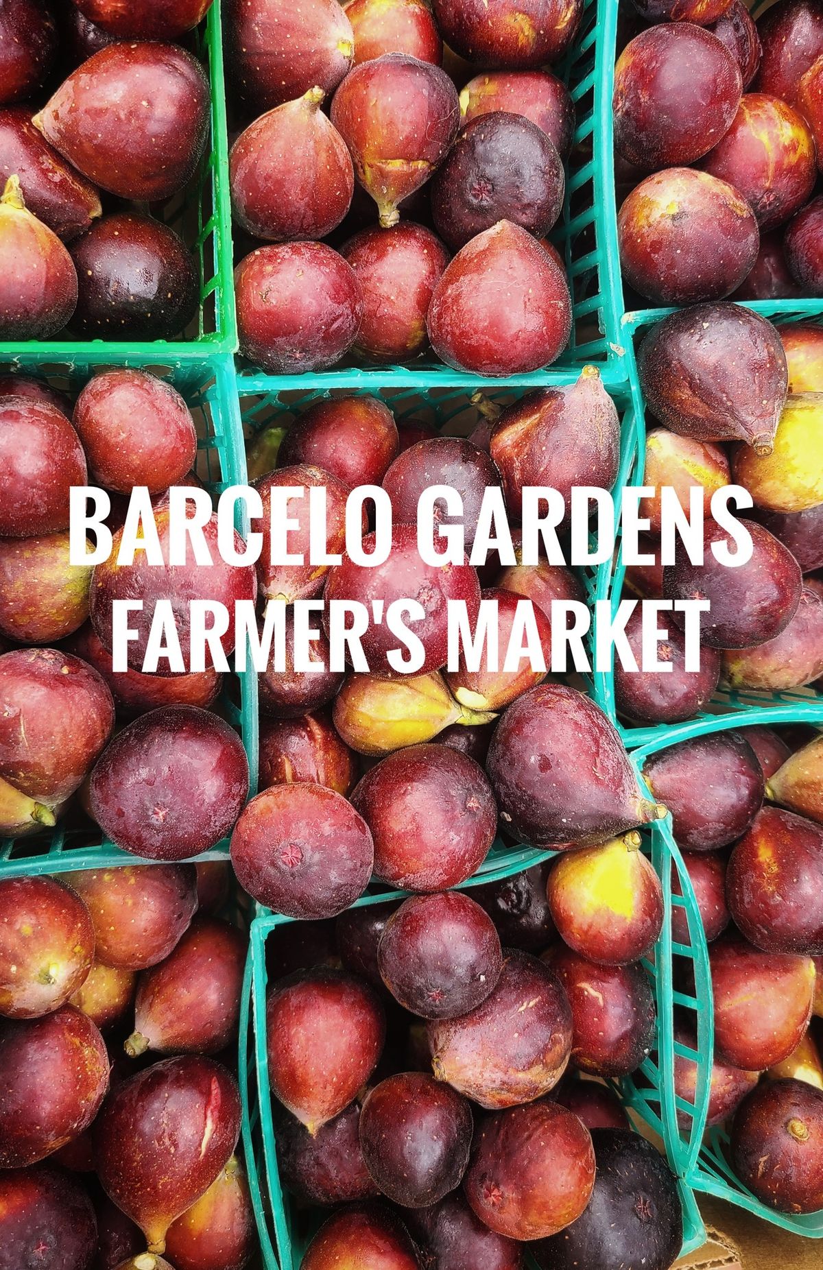 Barcelo Gardens Fresh Market (9th Ward Garden Location)