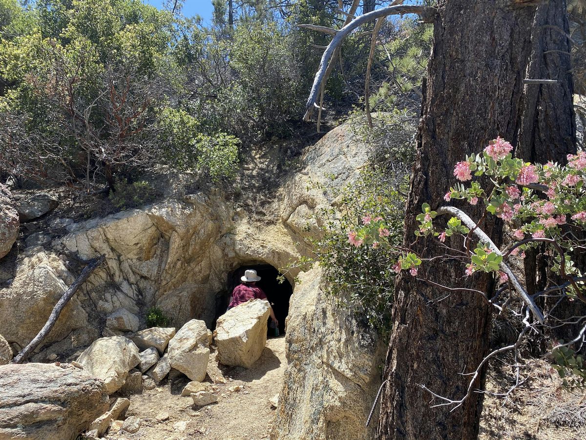 Gold Hill and Golden Crown Mine Trail