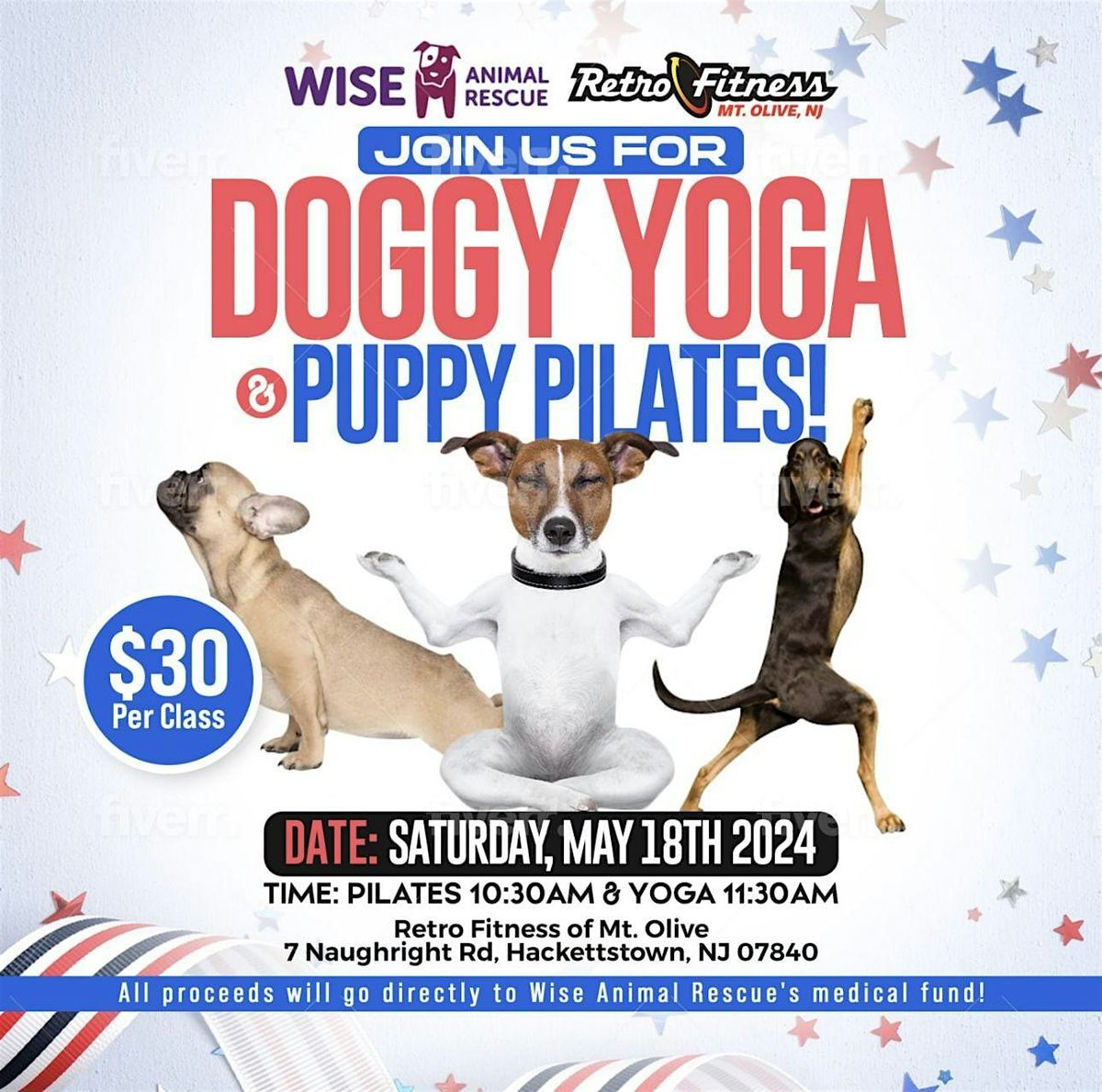 Doggy Yoga & Puppy Pilates
