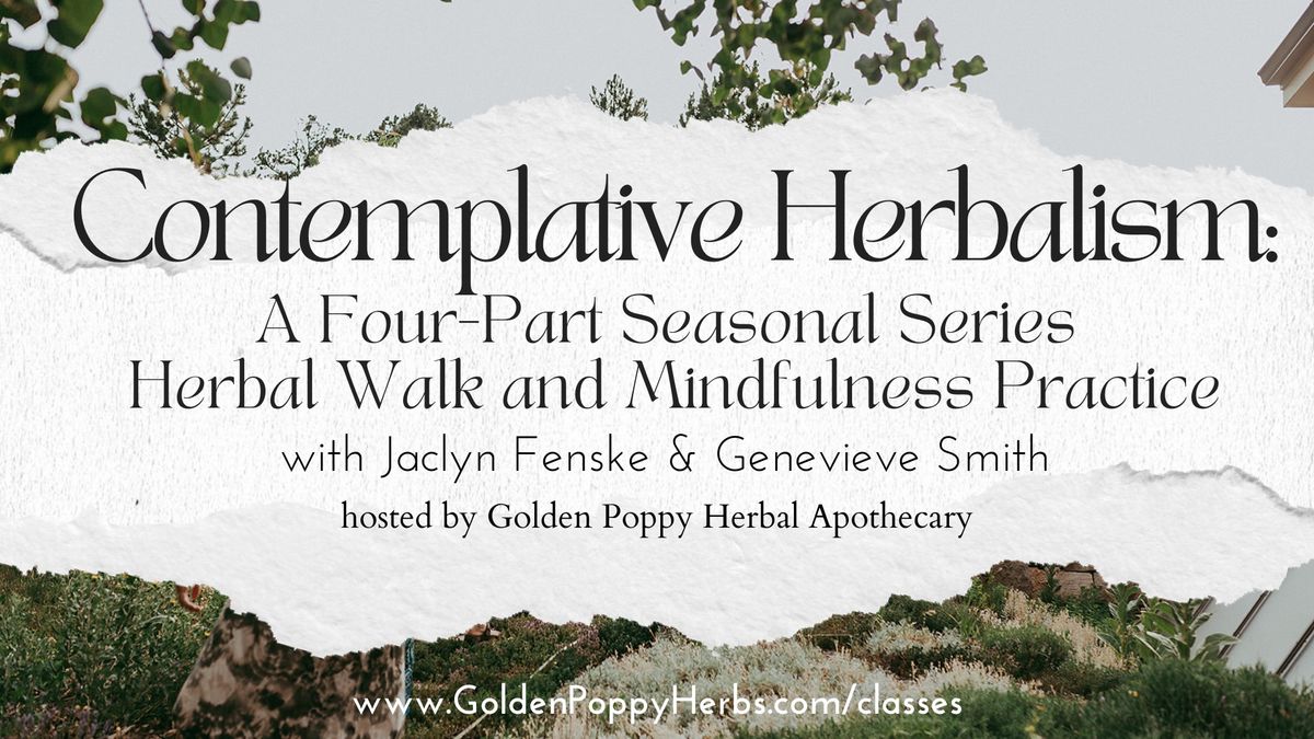 Contemplative Herbalism: A Four Part Seasonal Series Herbal Walk and Mindfulness Practice