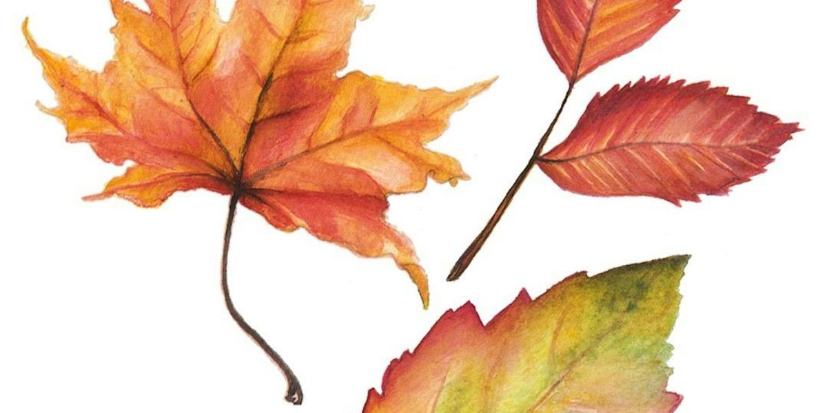 Autumn Leaves Watercolour Workshop