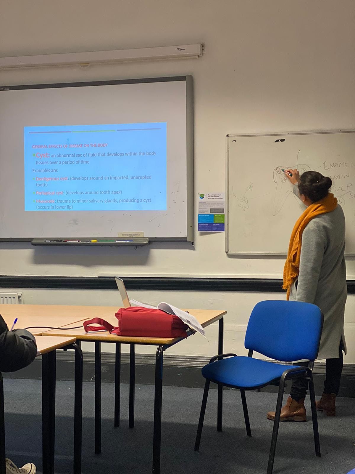 Dental Nurse Course Trainee Dental Nurse Placement Everest