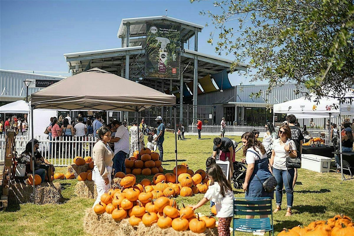 Houston Farmers Market Fall Pumpkin Patch