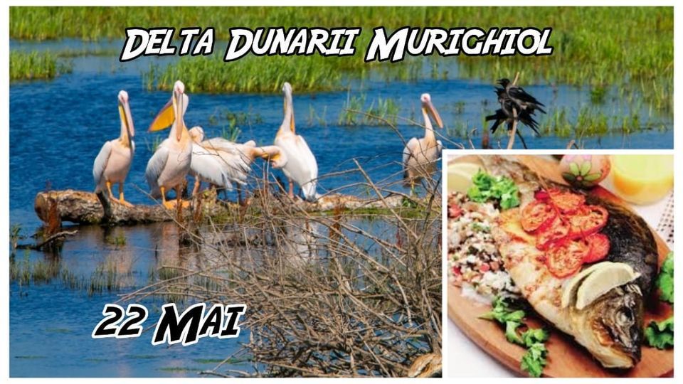 EXCURSIE 1 ZI: DELTA DUNARII-MURIGHIOL