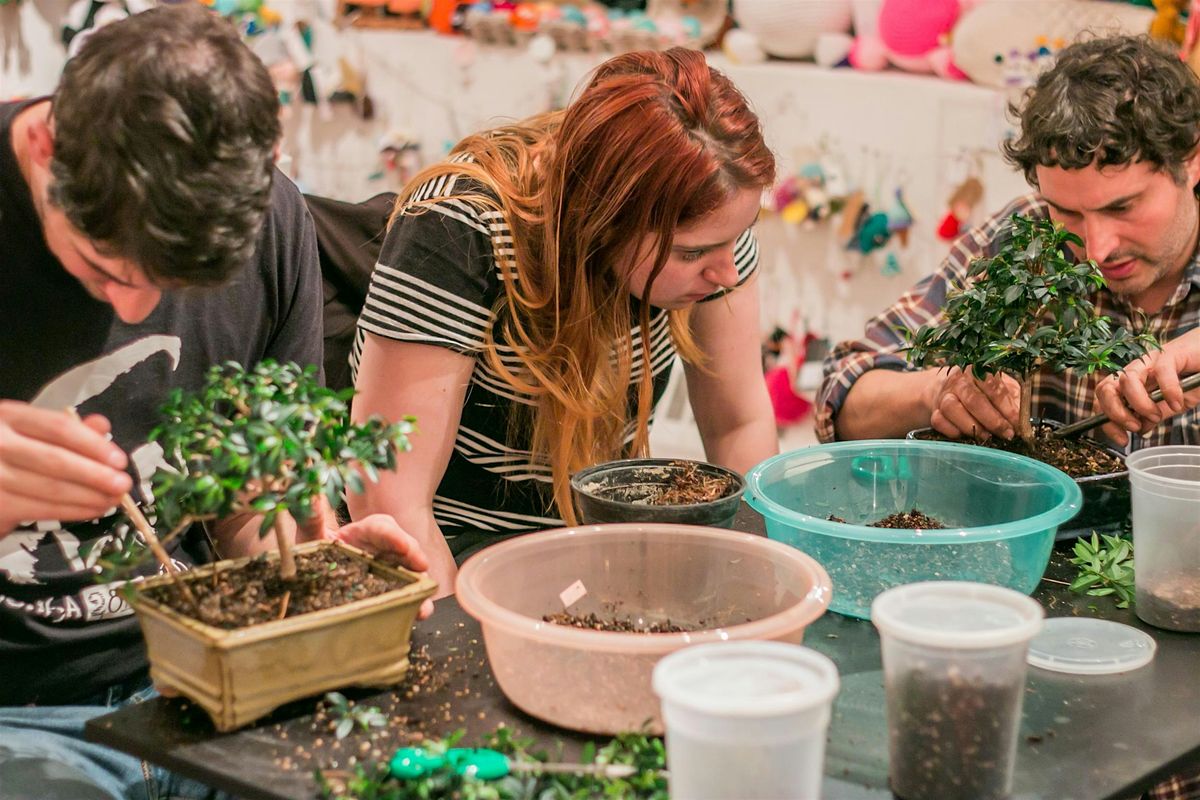 Bonsai Workshop