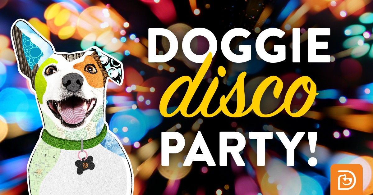 DISCO DAY at Dogtopia Stamford