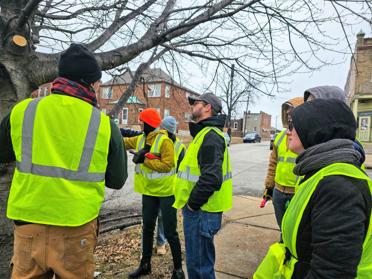 Bevo Neighborhood Tree Care Blitz