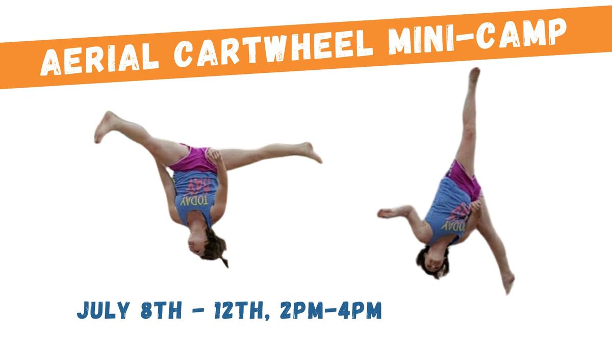 Aerial Cartwheel Mini-Camp (Week-Long)