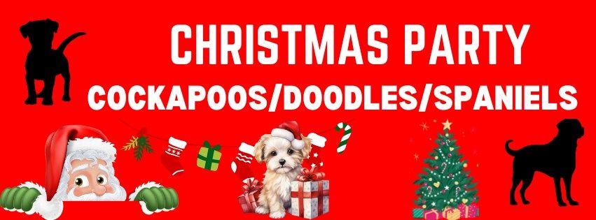 YORK - Cockapoo\/Doodle\/Spaniel - Christmas Party