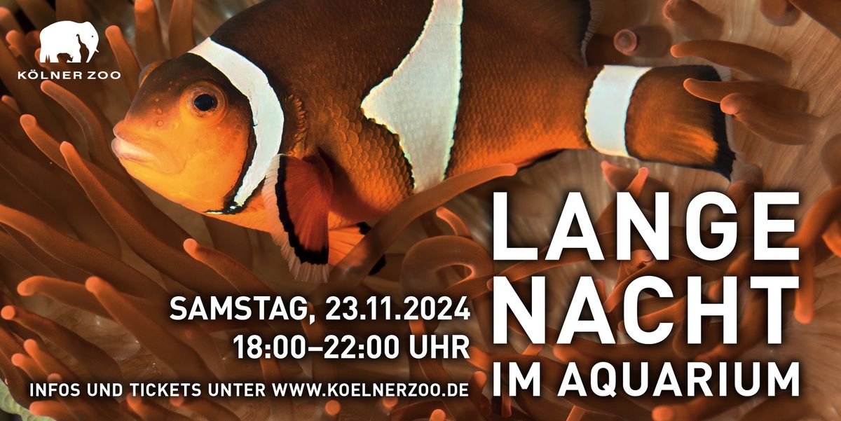 Lange Nacht im Aquarium