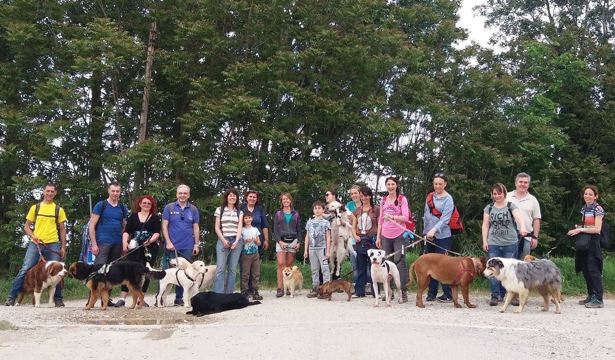 2 passi nella Grande Foresta di Travac\u00f2 - passeggiata cinofila