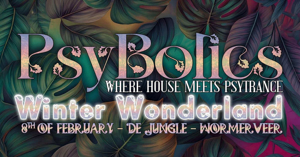 PsyBolics - Winter Wonderland