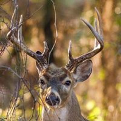 Ray Roberts Lake State Park Isle du Bois - Texas Parks and Wildlife