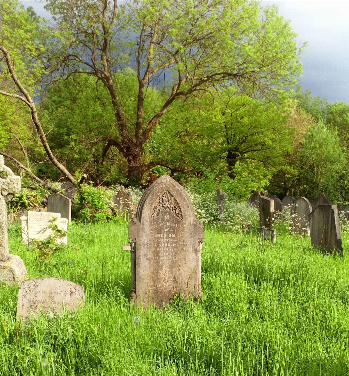 Introductory Tour of West Norwood Cemetery