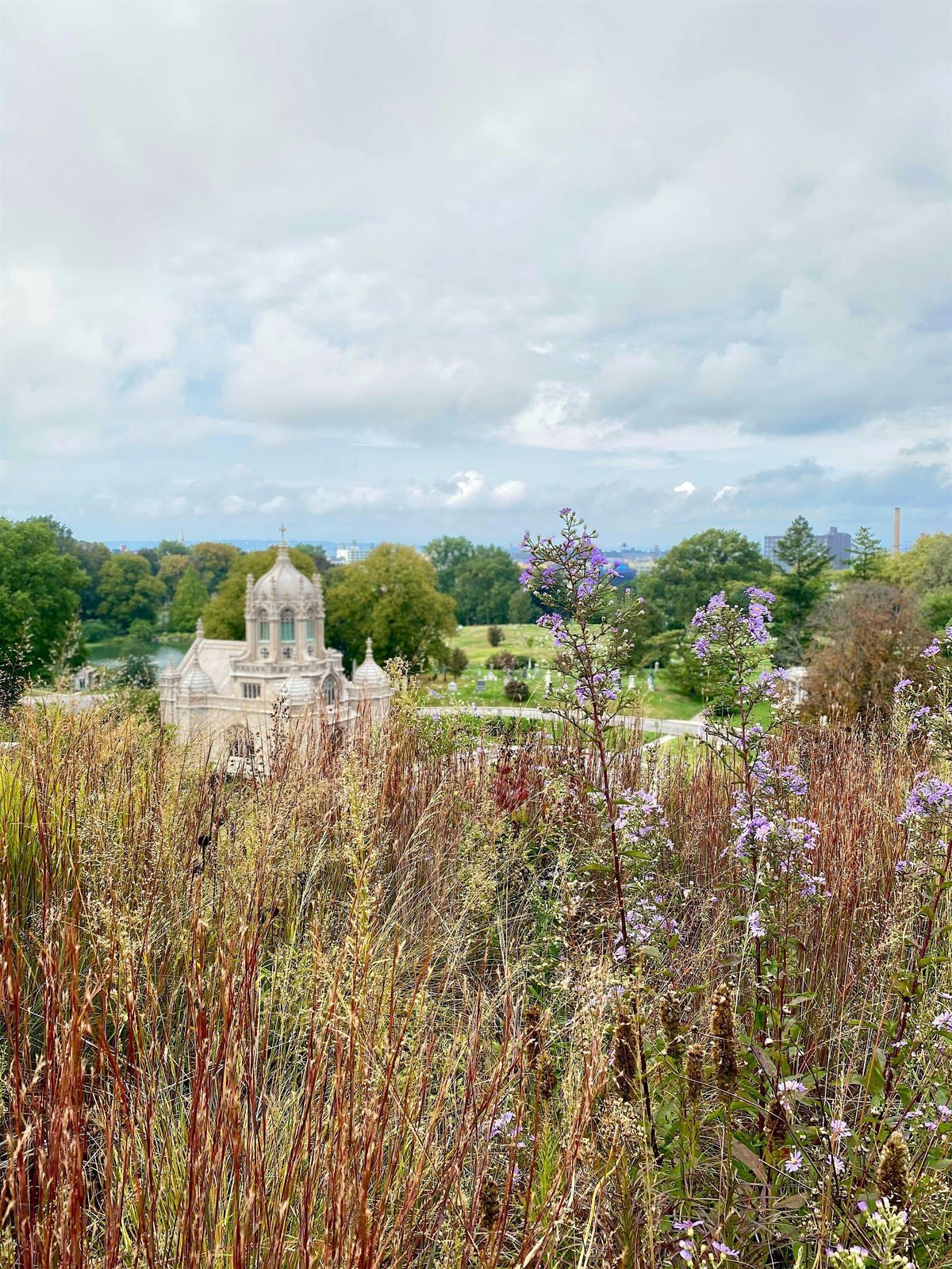 Memorializing Ecological Loss