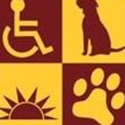 Pawsitive Perspectives Assistance Dogs (PawPADs)