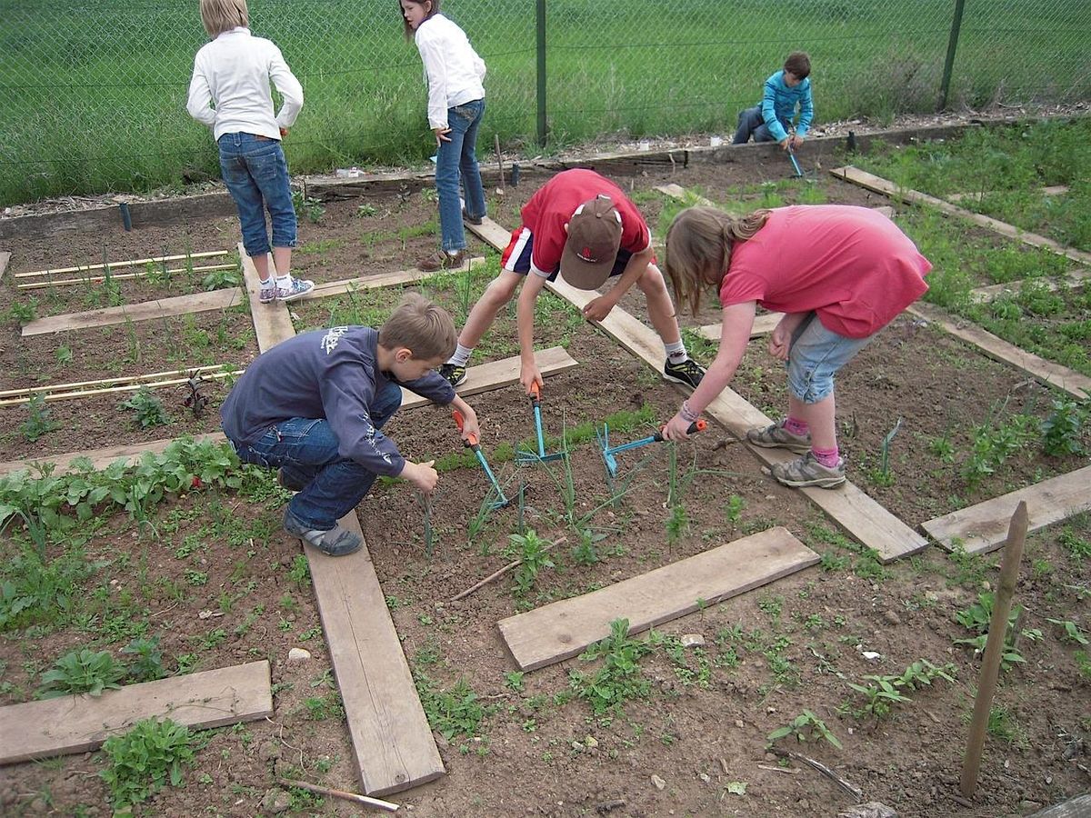 School Dividends: Growing Gardens