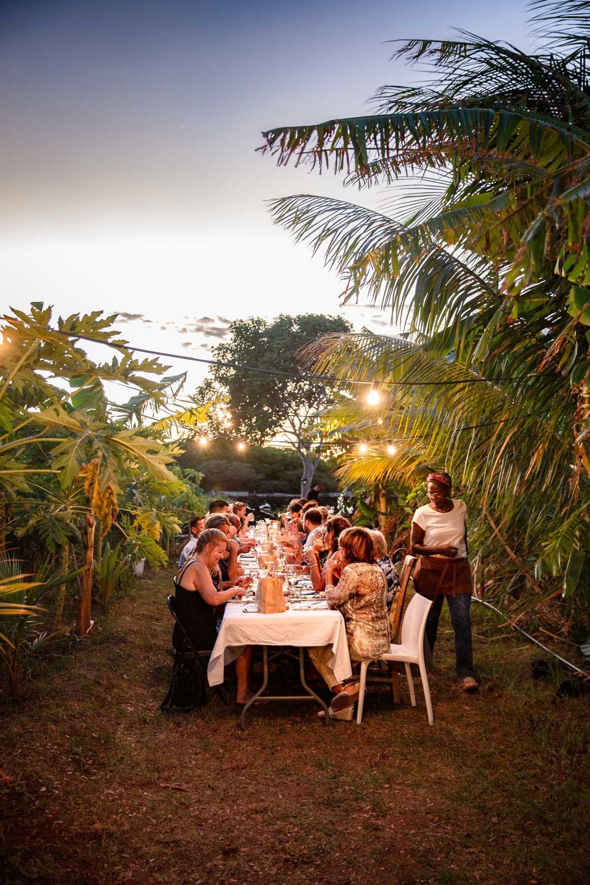 Dinner in the Field