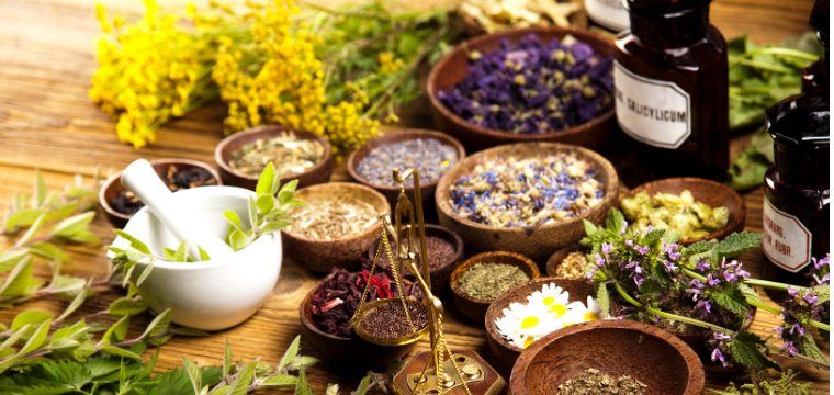 Uses and Safety of Locally Grown Medicinal Plants