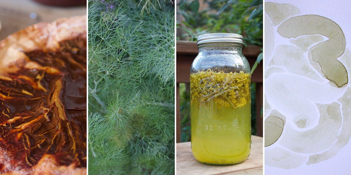 Making Inks Using CA Invasive Plants, Garretson Point Staging (EBRPD ...