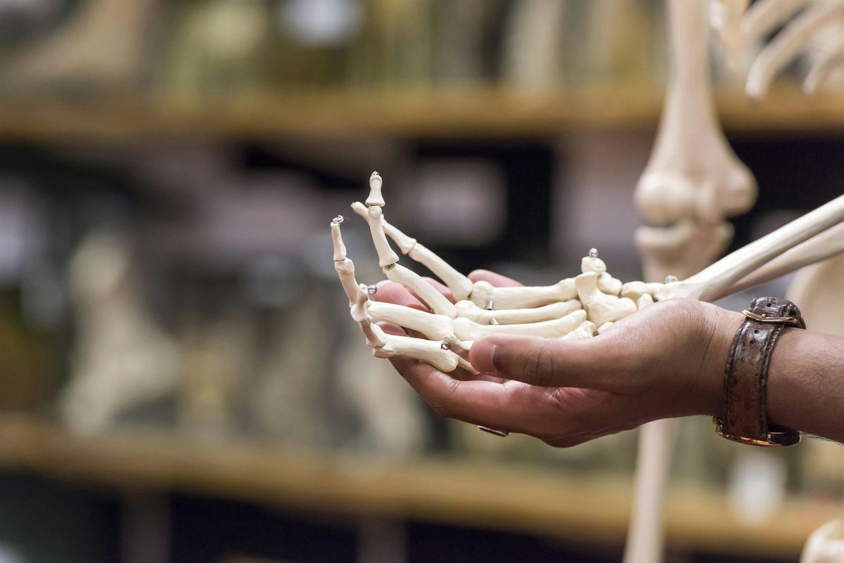 Behind-the-scenes: Pathology Museum Tour