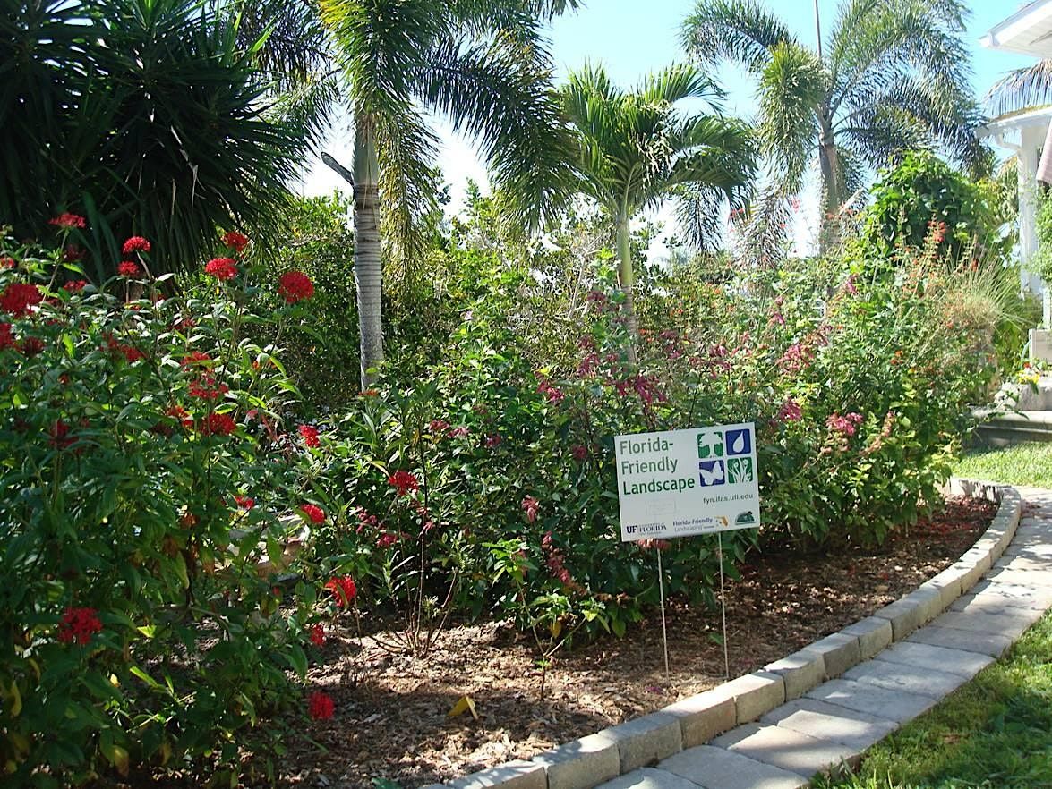 Basics of Florida Friendly Gardening 2022