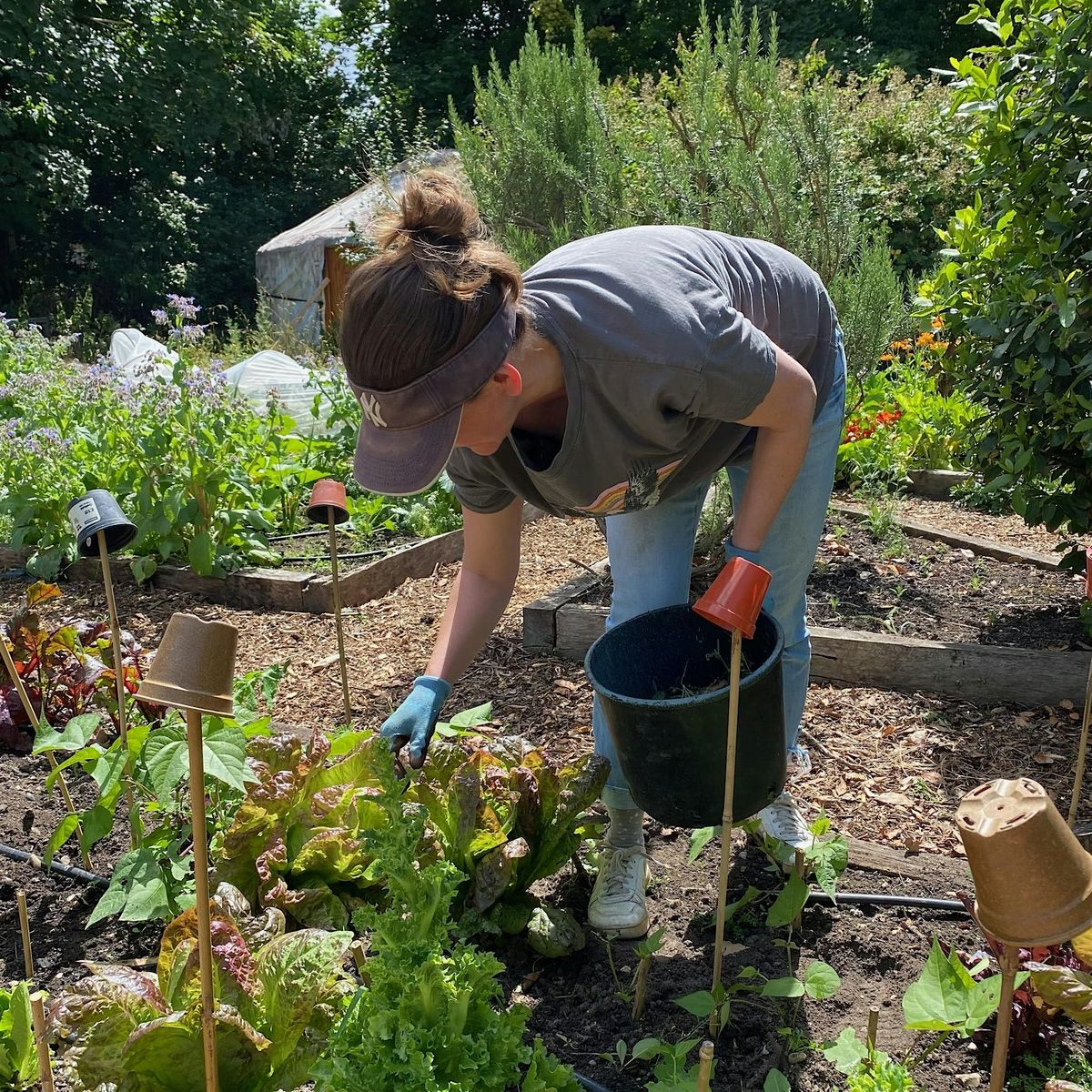 Mindful Growing: Volunteer Session