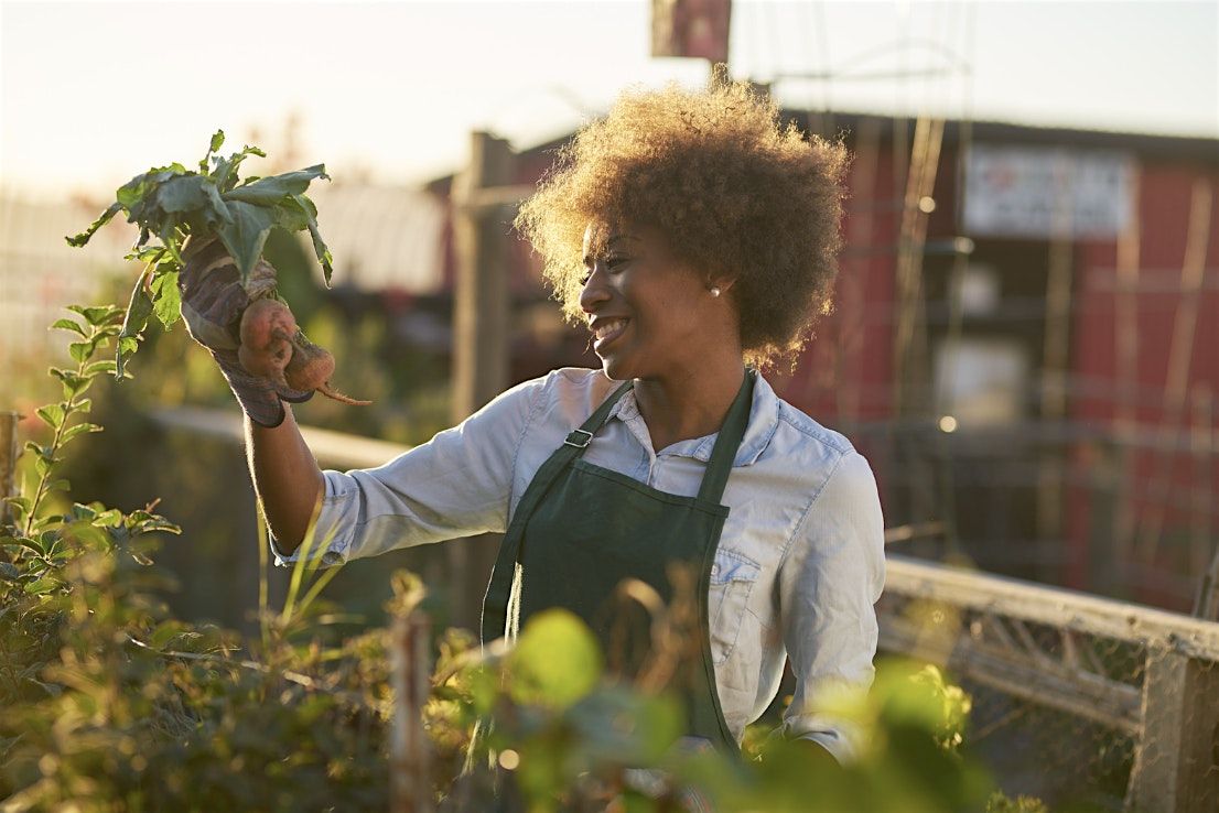 Up The Allotments!  Produce and Recipe Exchange