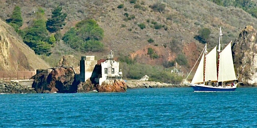 Marine Wildlife and Ecology Sail on San Francisco Bay - 2025