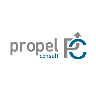 Propel Consult