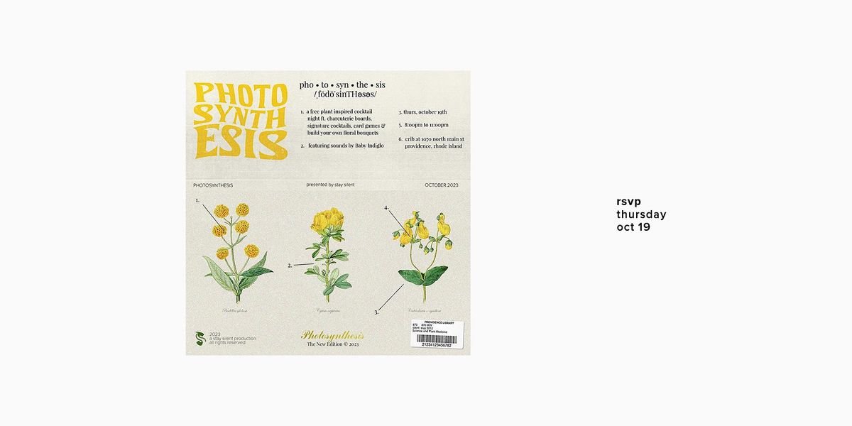 PHOTOSYNTHESIS / October 2023, Crib (Providence), 19 October 2023