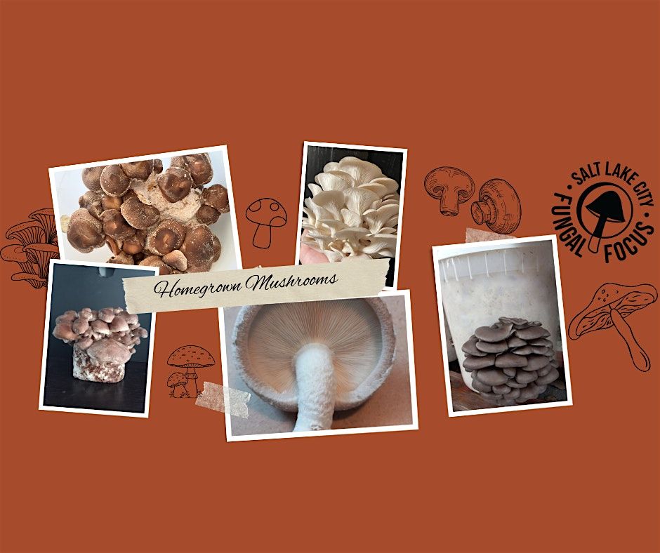 Introduction to Mycology and Mushroom Cultivation