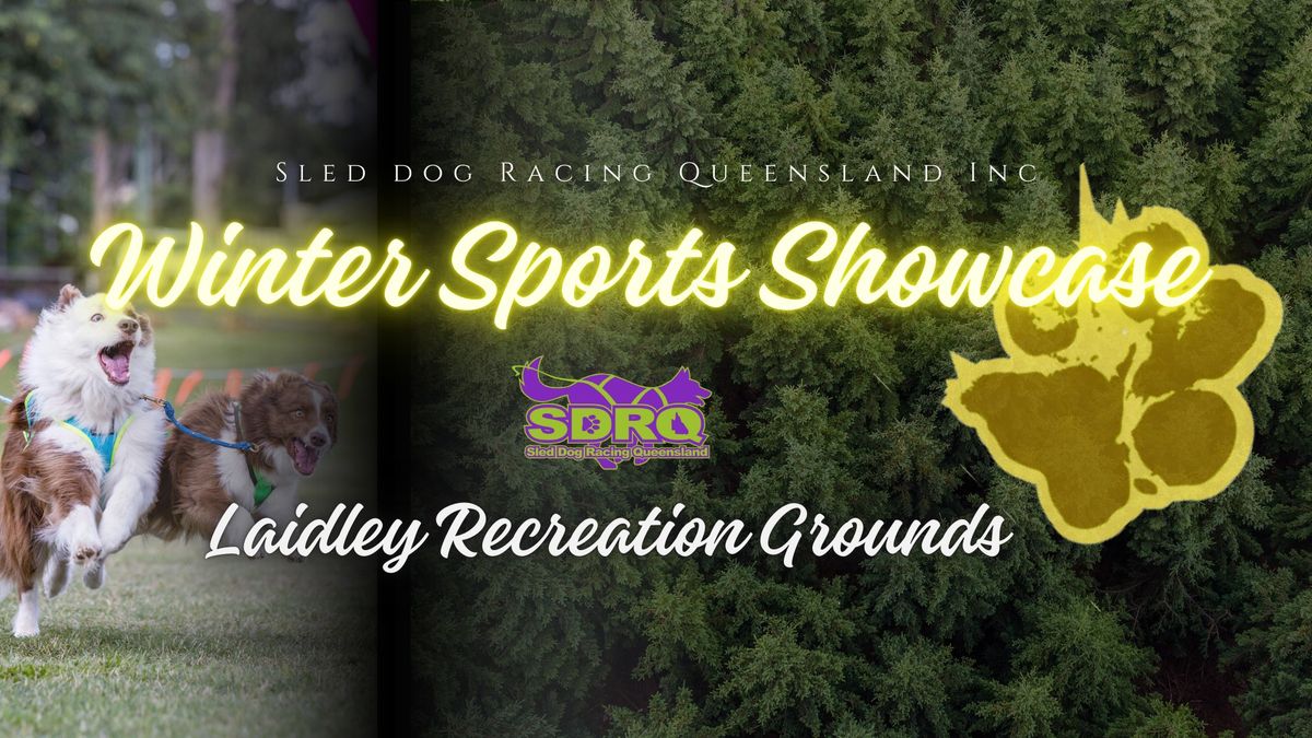 SDRQ Stall: Winter Sports Showcase