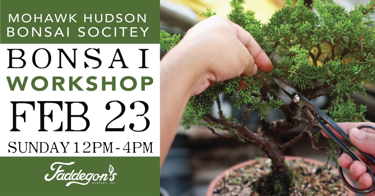 BYO Tree- Bonsai Workshop