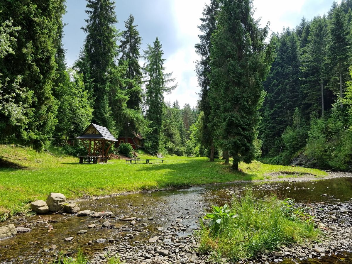 Joga i szukanie skarbu