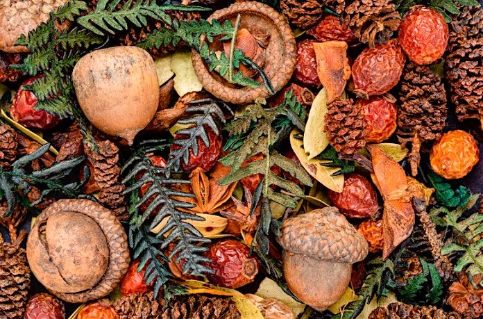 Holiday Potpourri & Simmer Pots Workshop