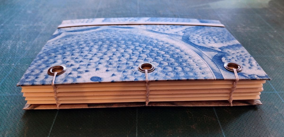 Coptic Stitch Binding: #4 in A Spring Season of Book Making