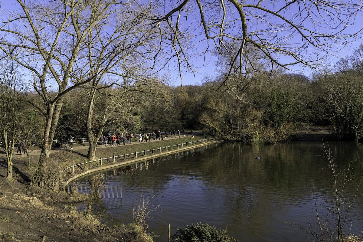 HAMPSTEAD HEATH CIRCULAR WALK - BEGINNERS' WALKERS !!! SUNDAY WALKING