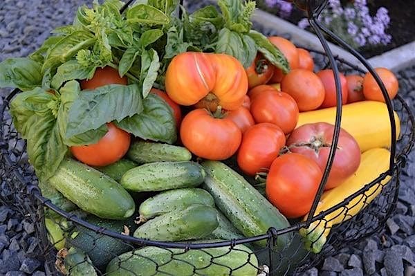 Harvest Luncheon