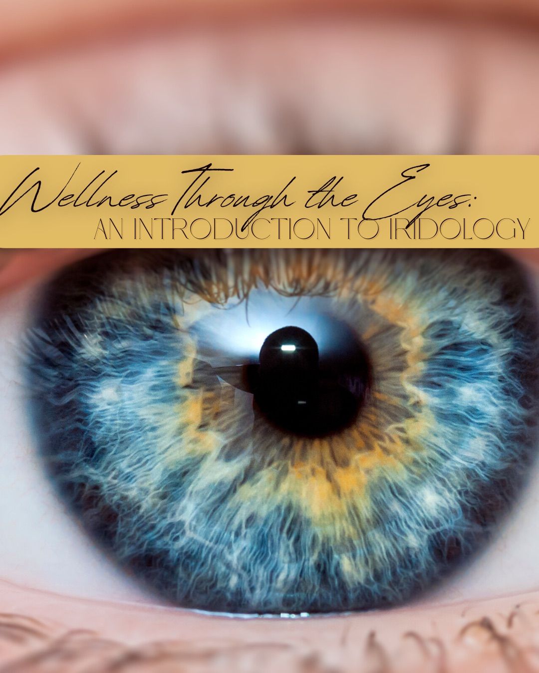 Wellness Through the Eyes: An Introduction to Iridology