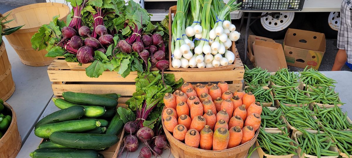 Santini Farmers Market Fort Myers Beach