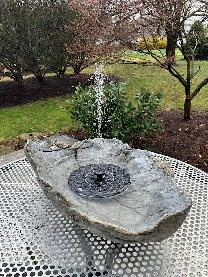 Hypertufa Leaf birdbath workshop