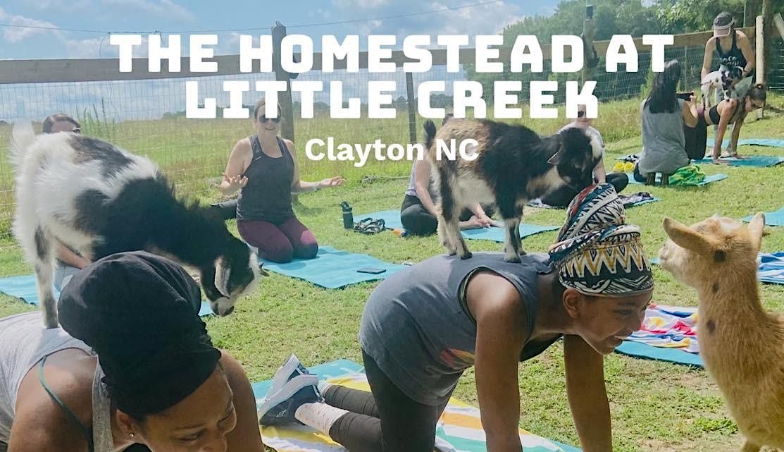 Goat Yoga @ The Homestead at Little Creek